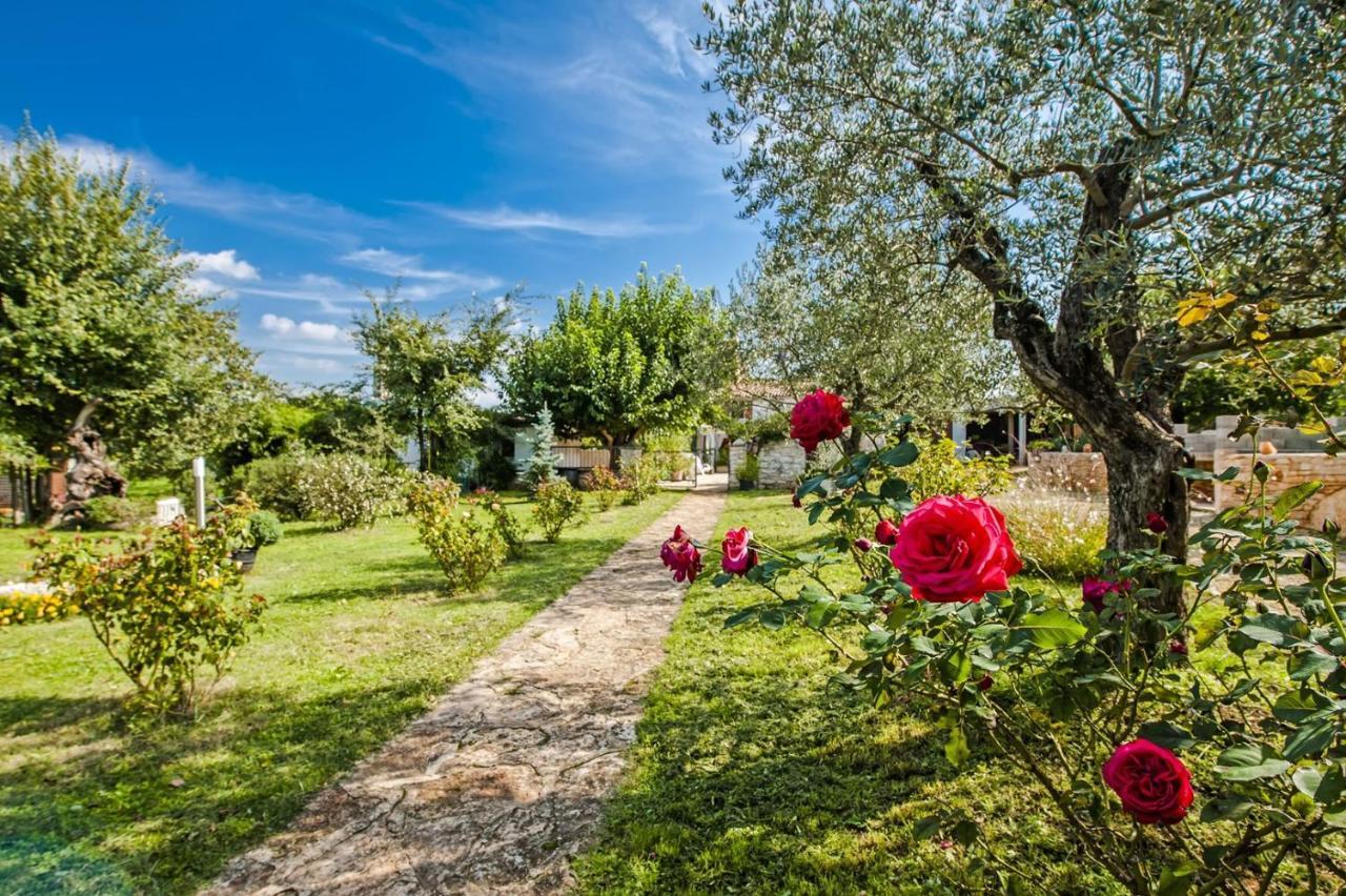 Holiday Apartment Daria 20 Ρόβινι Εξωτερικό φωτογραφία