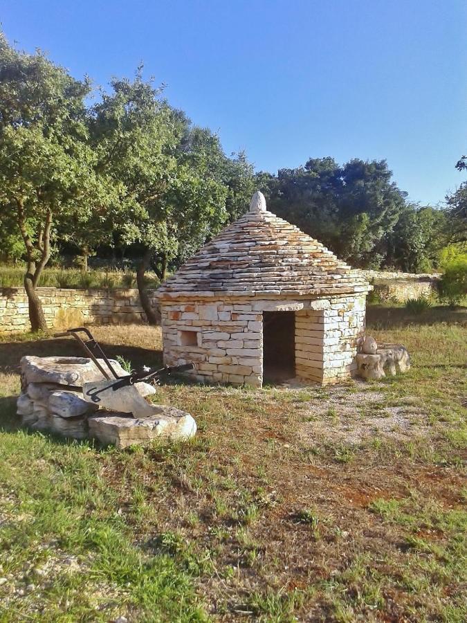 Holiday Apartment Daria 20 Ρόβινι Εξωτερικό φωτογραφία