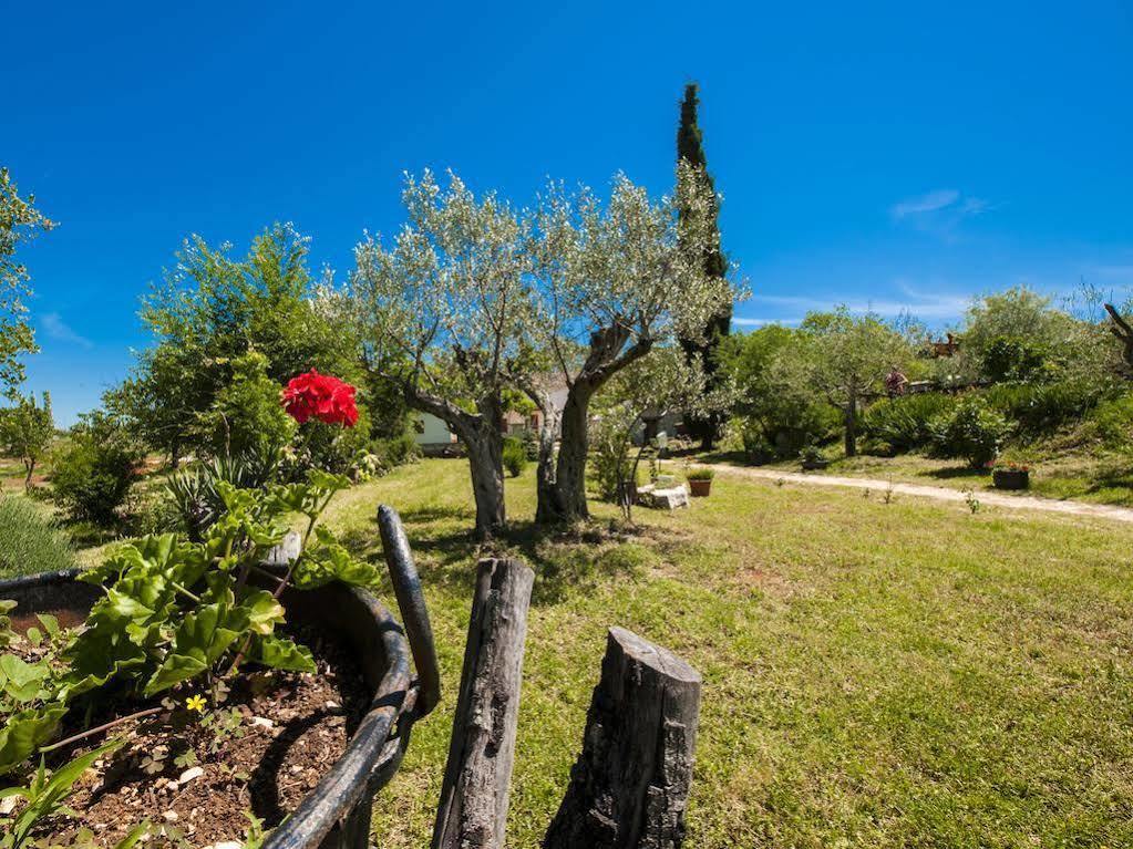 Holiday Apartment Daria 20 Ρόβινι Εξωτερικό φωτογραφία
